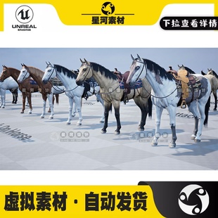 UE4虚幻5可定制写实白马黑马马群马鞍缰绳马具动物3D模型动画资产