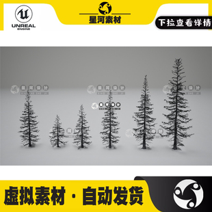UE虚幻5写实逼真冷杉云杉杉树森林树木场景景观装饰3D模型资产包