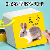 宝宝早教认知卡片撕不烂书婴幼儿看图识字动物儿童启蒙益智玩具