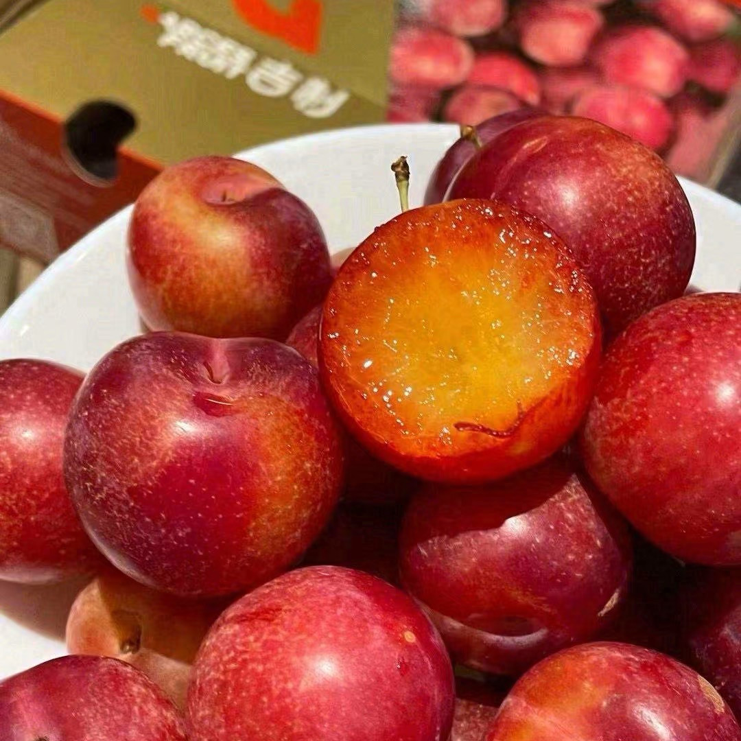 顺丰空运 5斤礼盒智利进口樱桃李新鲜李子水果当季纯甜红心李整箱,水产肉类/新鲜蔬果/熟食,李子,淘宝优惠券,粉丝福利购,淘宝优惠卷