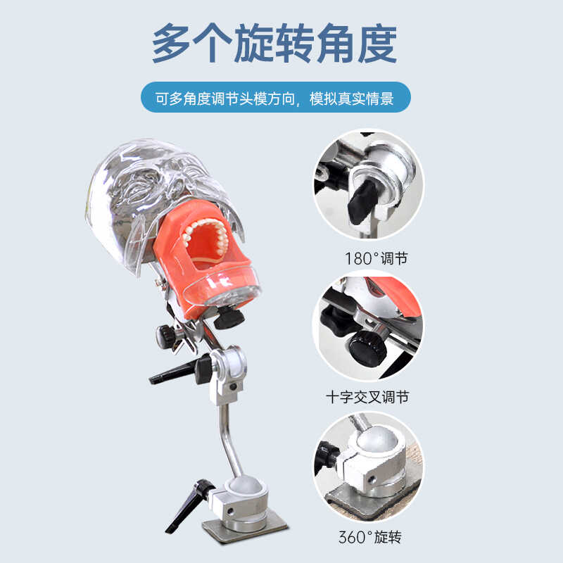 牙科仿真练习头模口腔牙齿模型技能考试可拆卸备教学模型交流沟通