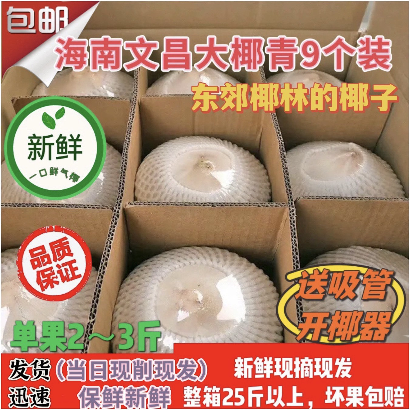 精选  海南文昌特产大椰青新鲜椰子现摘9个装孕妇水果去皮整箱