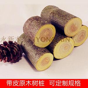 原木带皮木桩 杂木树桩 桌面摆件道具 实木木桩树桩摆件装饰树枝