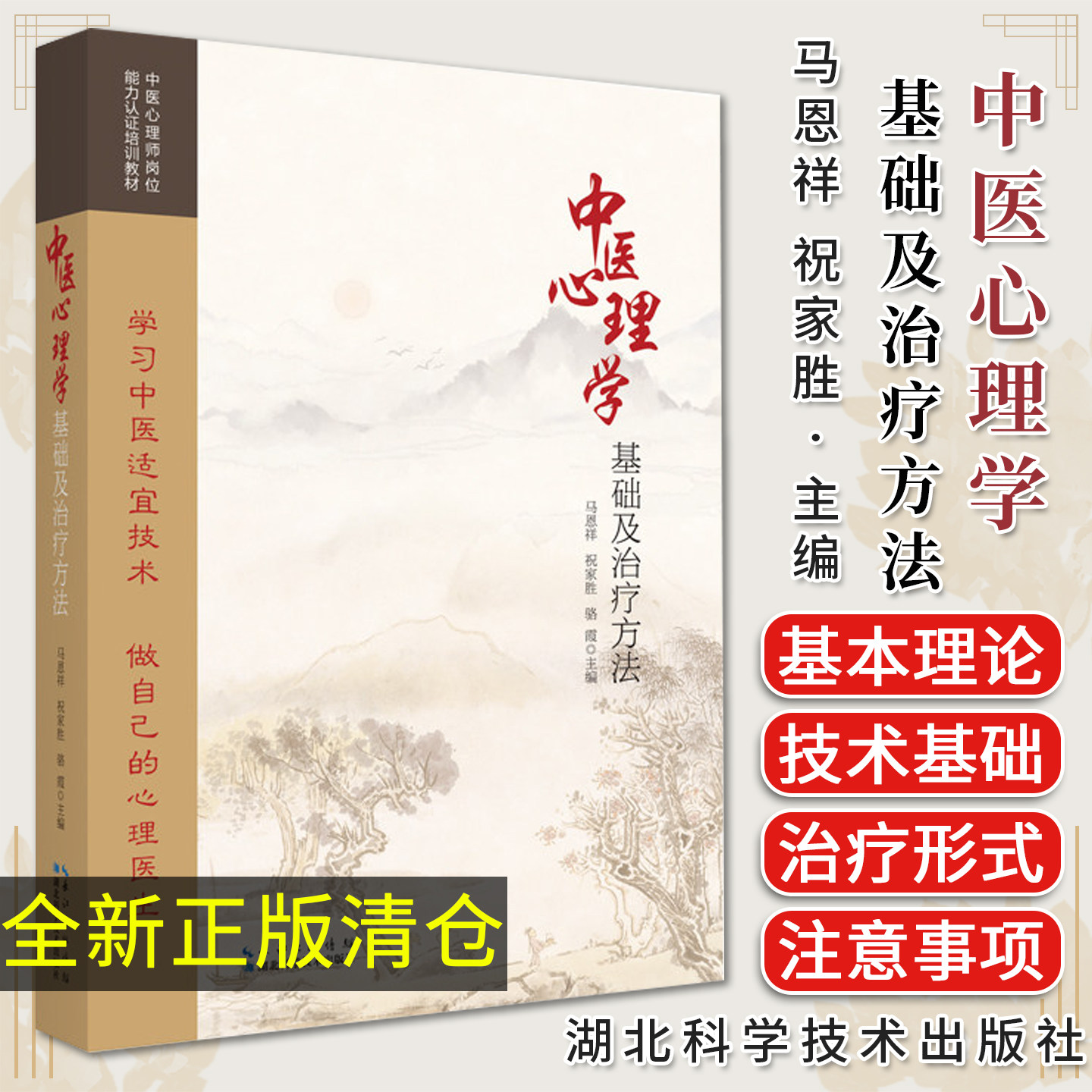 中医心理学基础及治疗方法 马恩祥 祝家胜 骆霞 中医心理师岗位能力认证培训教材中医适宜技术心理治疗方法中医心理治疗大全 湖北