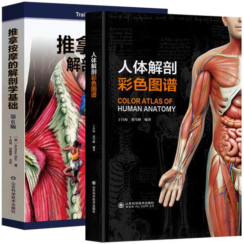 【全2册】推拿按摩的解剖学基础（第6版）+人体解剖彩色图谱 山东科学技术出版社