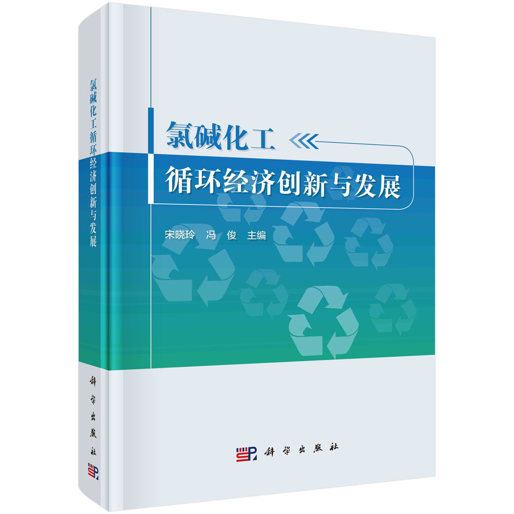 氯碱化工循环经济创新与发展 宋晓玲 冯俊 国内外循环经济发展理念政策评价体系实践案例分析关键工艺技术科技创新绿色高质量发展