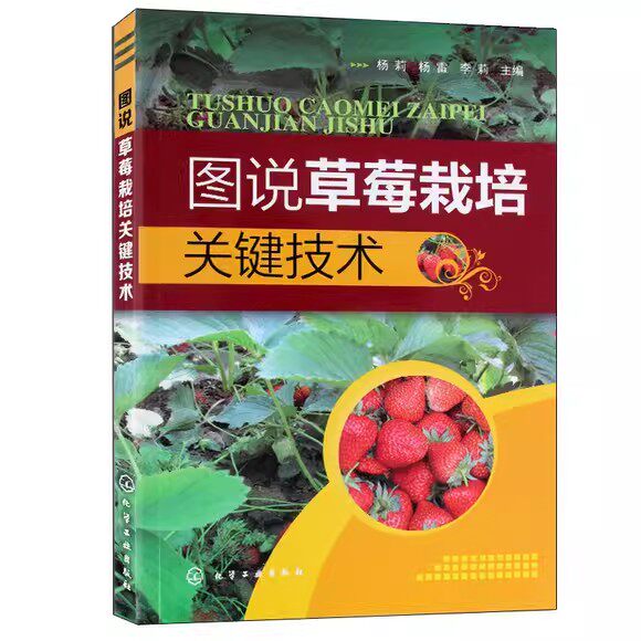 图说草莓栽培关键技术 杨莉 化学工业出版社9787122229519