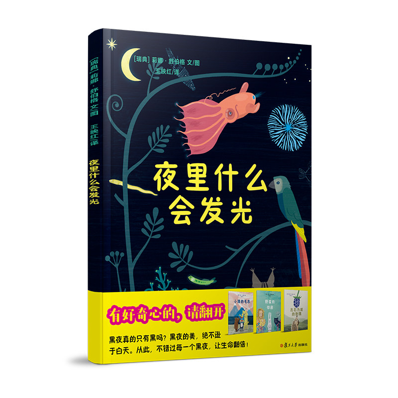 夜里什么会发光 【瑞典】莉娜·舒伯格 文/图 精装绘本 复旦大学出版社 3-6岁儿童故事绘本 图画故事