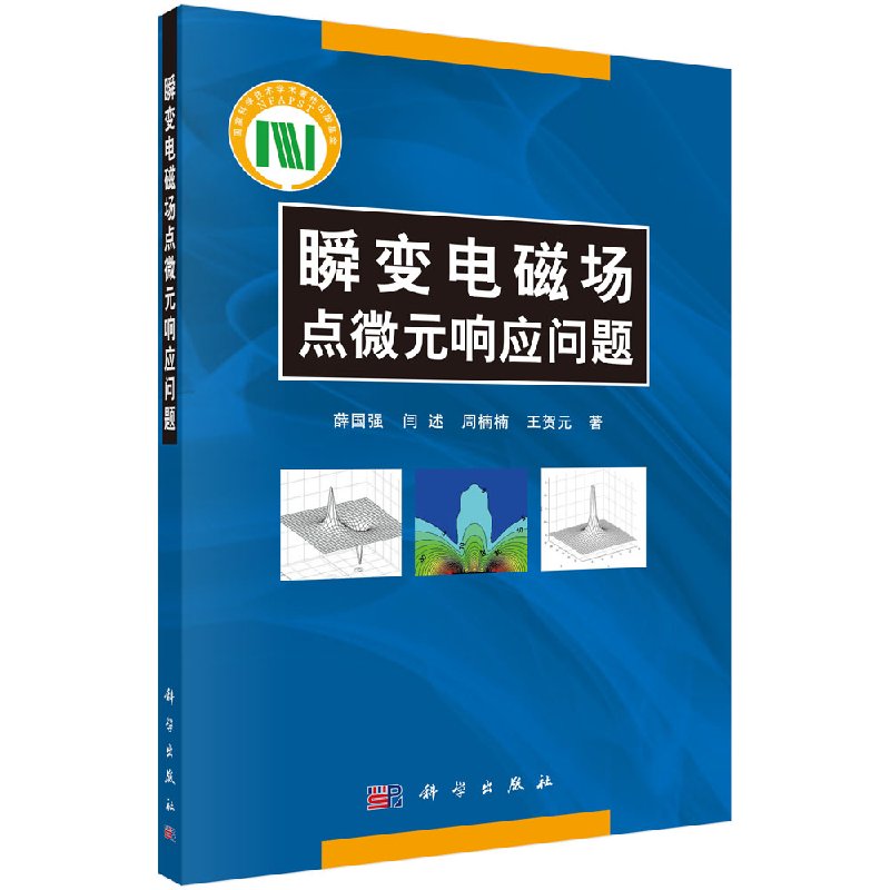 瞬变电磁场点微元响应问题