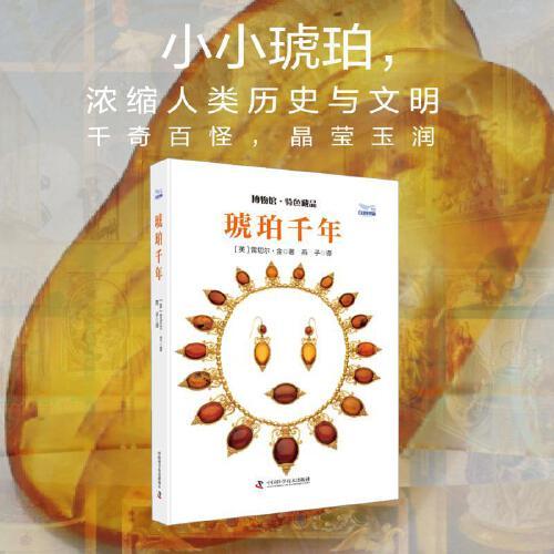 琥珀千年 (英) 雷切尔·金 著 中国科学技术出版社 轻工业、手工业