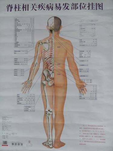 收藏加购优先发货