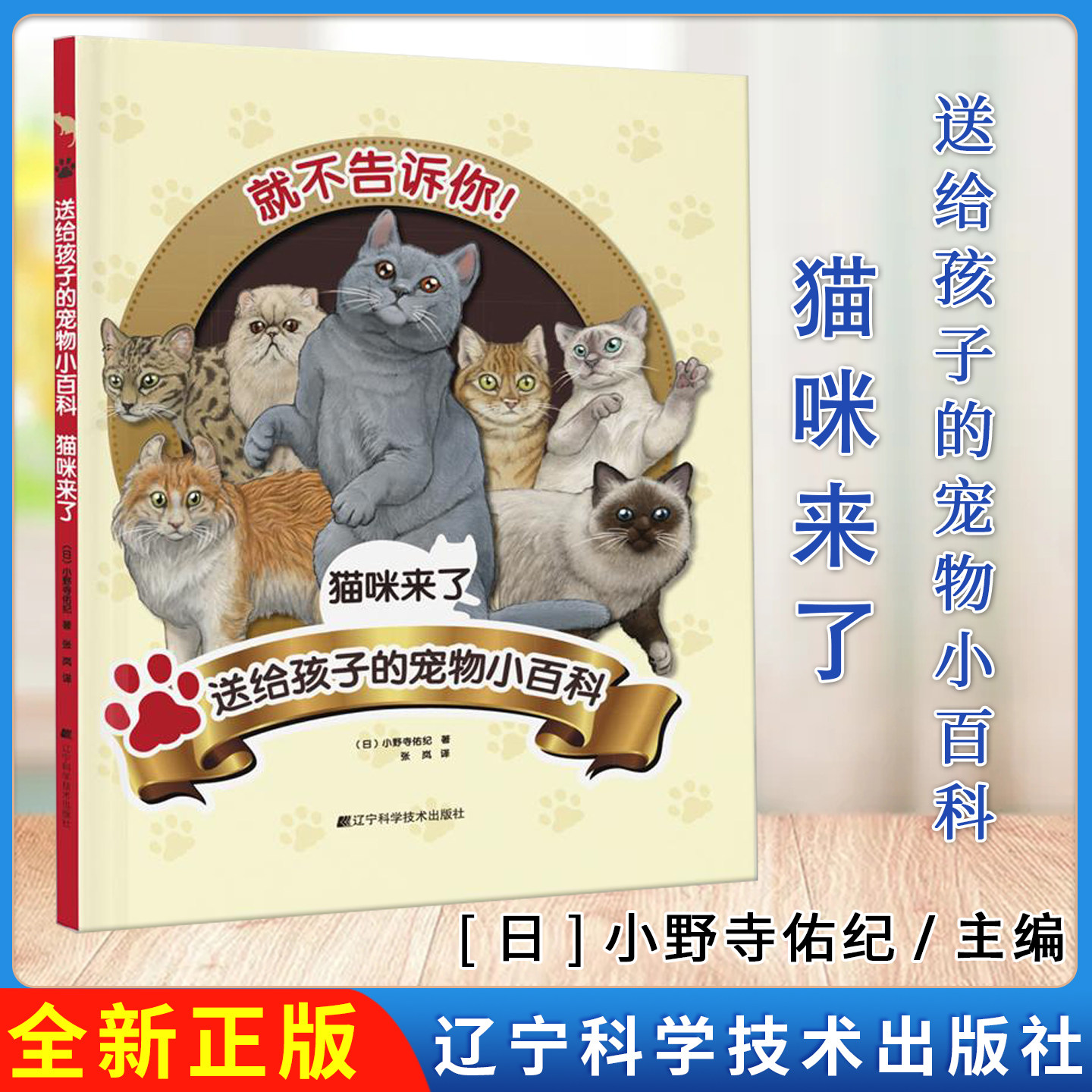送给孩子的宠物小百科：猫咪来了 [日]小野寺佑纪 辽宁科学技术出版社