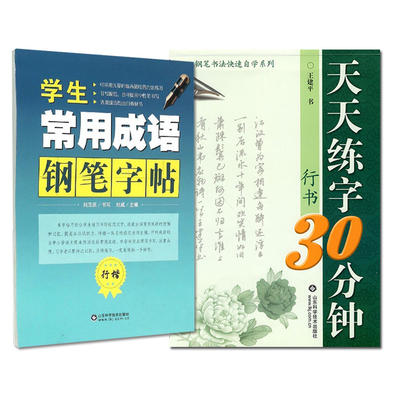 套装两本 天天练字30分钟(行书)—钢笔书法快速自学系列+学生常用成语钢笔字帖(行楷) 练字学生练字 山东科学技术出版社