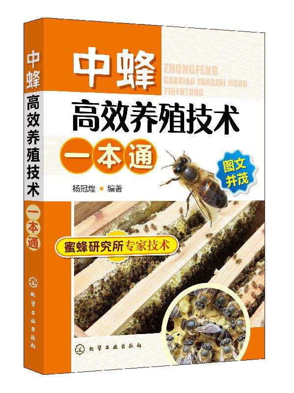 中蜂高效养殖技术一本通