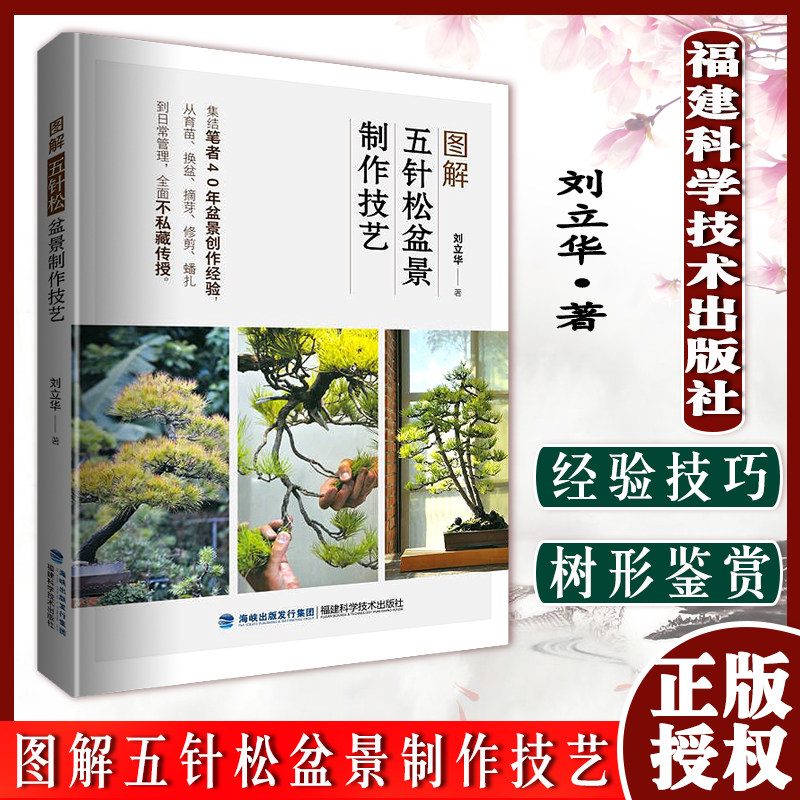 图解五针松盆景制作技艺 刘立华 盆景育苗换盆摘芽修剪蟠扎 日常管理盆景制作赏析福建科学技术出版社9787533565589