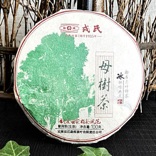冰岛母树茶勐库戎氏普洱茶2020年戎氏母树茶100g生茶品鉴装冰甜韵
