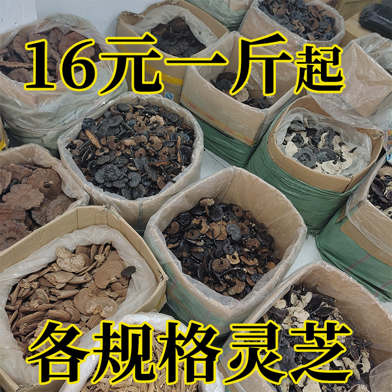 整枝黑灵芝金边灵芝紫灵芝竹灵芝赤灵芝可切片大小非林下野生灵芝