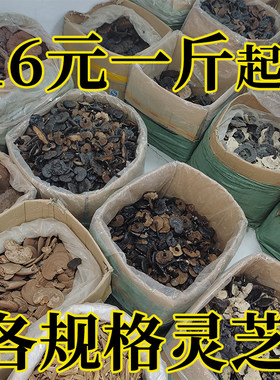 煲汤黑灵芝灵芝片散装整枝