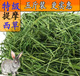 新草2025年特级提摩西草北提龙猫豚鼠兔粮荷兰猪新鲜饲料5斤 包邮