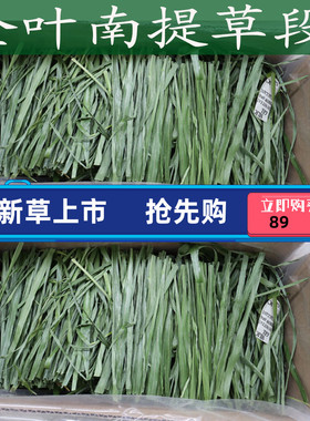 2026新烘干全叶南提提摩西干草包邮兔子龙猫荷兰猪饲料粮食包邮