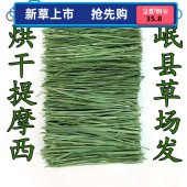 25年新烘干岷县提草提摩西北提兔子龙猫荷兰猪牧草兔粮毛重1000g