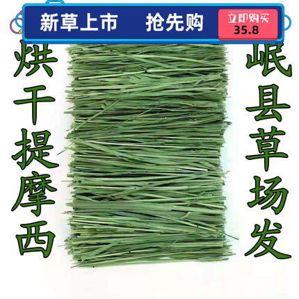 26年新烘干岷县提草提摩西北提兔子龙猫荷兰猪牧草兔粮毛重1000g