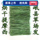 25年新烘干岷县提草提摩西北提兔子龙猫荷兰猪牧草兔粮毛重1000g