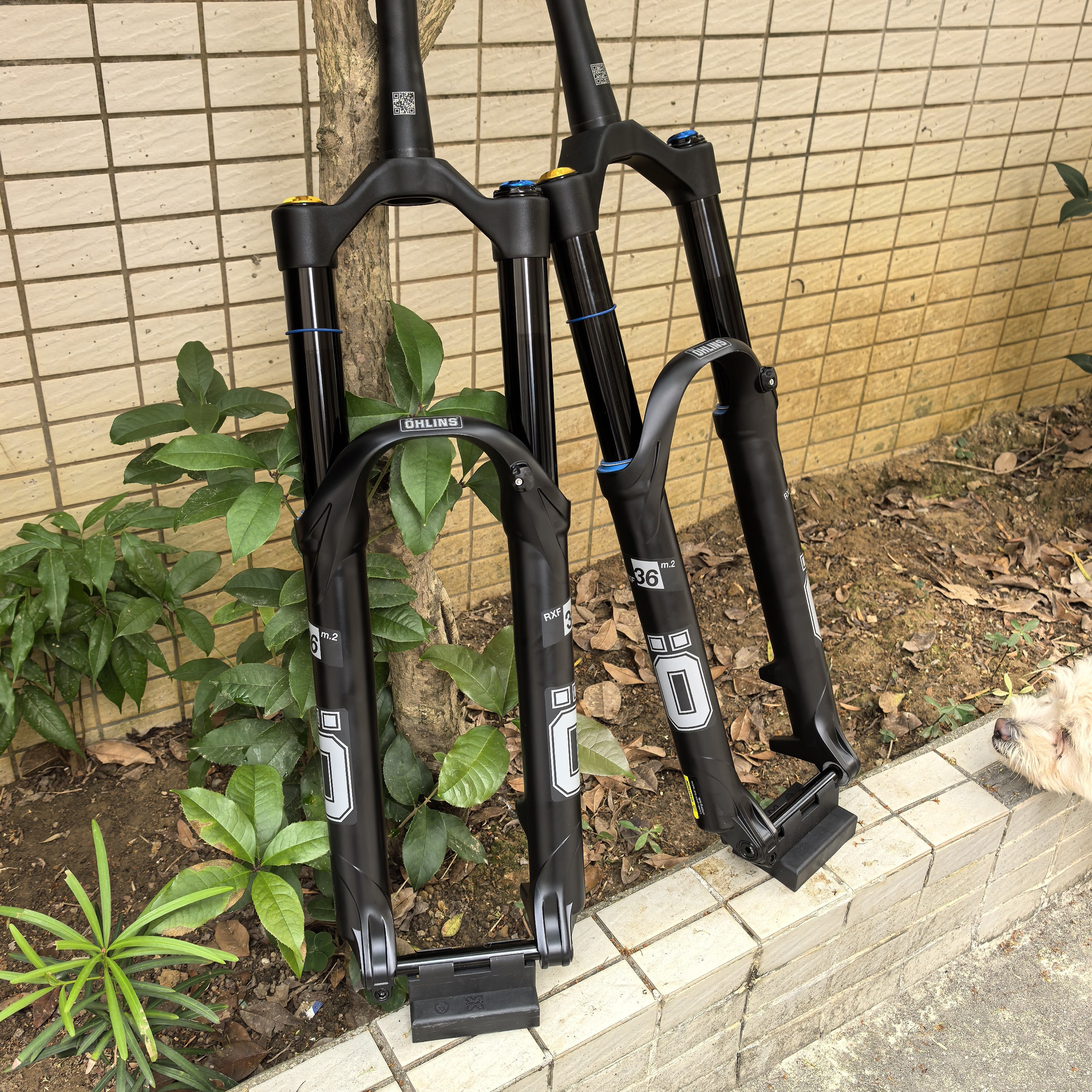 OHLINS奥林斯RXF36管径M.2山地车避震前叉Enduro桶轴160/170气压