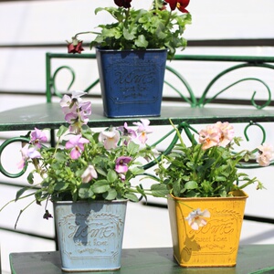 美式复古铁皮桶做旧多肉盆栽收纳桶花桶绿植园艺方盆花器花盆摆件