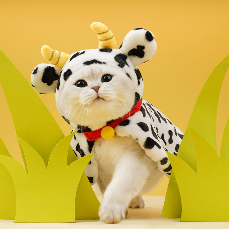 ZEZE降价清仓宠物披风