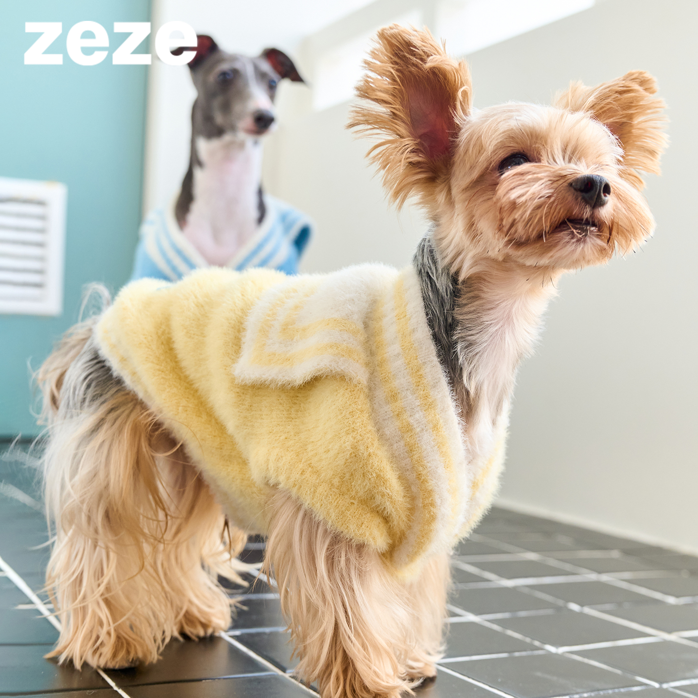 zeze软绒冬季保暖宠物狗狗衣服