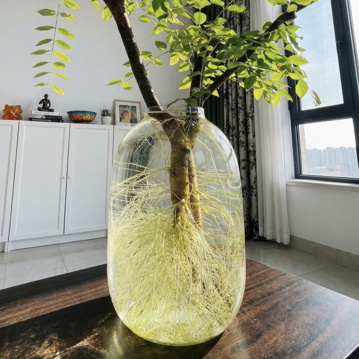 玻璃花瓶小叶女贞花瓶水培插花花瓶南天竹花瓶马醉木花瓶冬青花瓶,鲜花速递/花卉仿真/绿植园艺,花瓶,淘宝优惠券,粉丝福利购,淘宝优惠卷