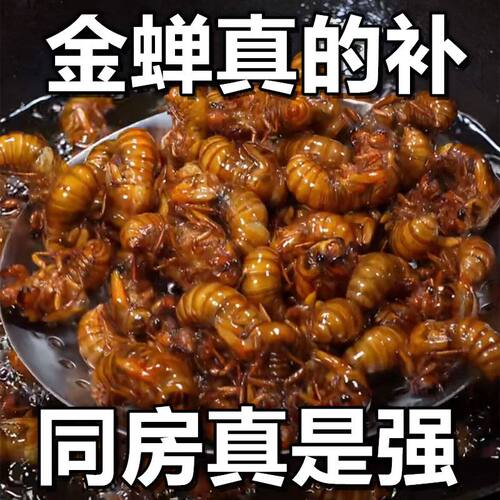 上午做下午发】油炸金蝉香酥知了猴爬叉结了龟高蛋白解馋下酒熟食