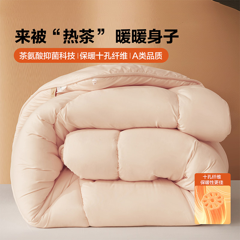 百丽丝水星家纺出品被子A类可裸睡十孔纤维抗菌冬被保暖加厚冬被