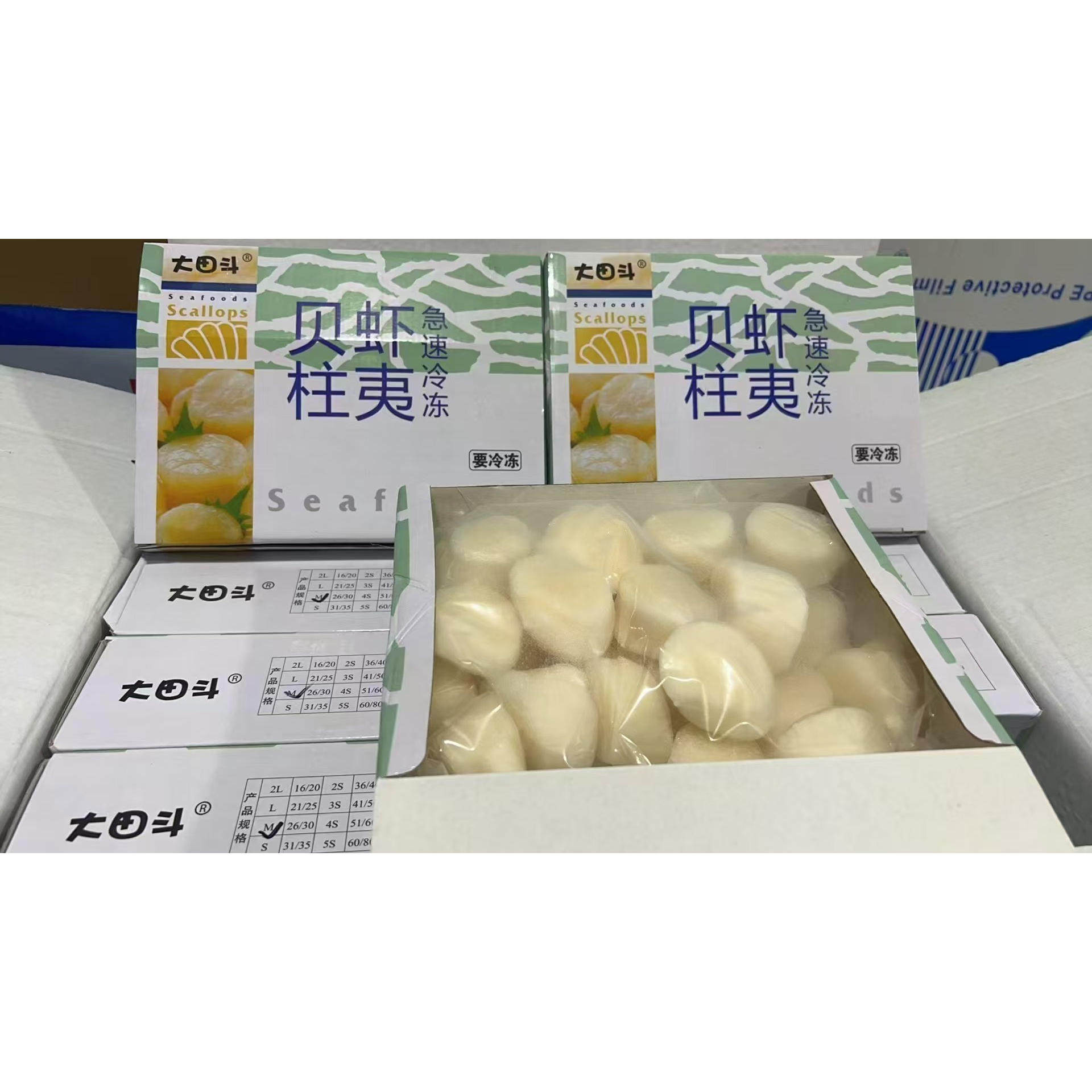 深圳发货大田斗帆立贝柱1000g宝宝辅食瑶柱扇贝柱日料贝柱2斤
