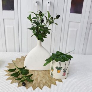 仿真橄榄叶绿植小单枝橄榄叶客厅餐桌带果摄影道具橄榄枝婚庆装饰