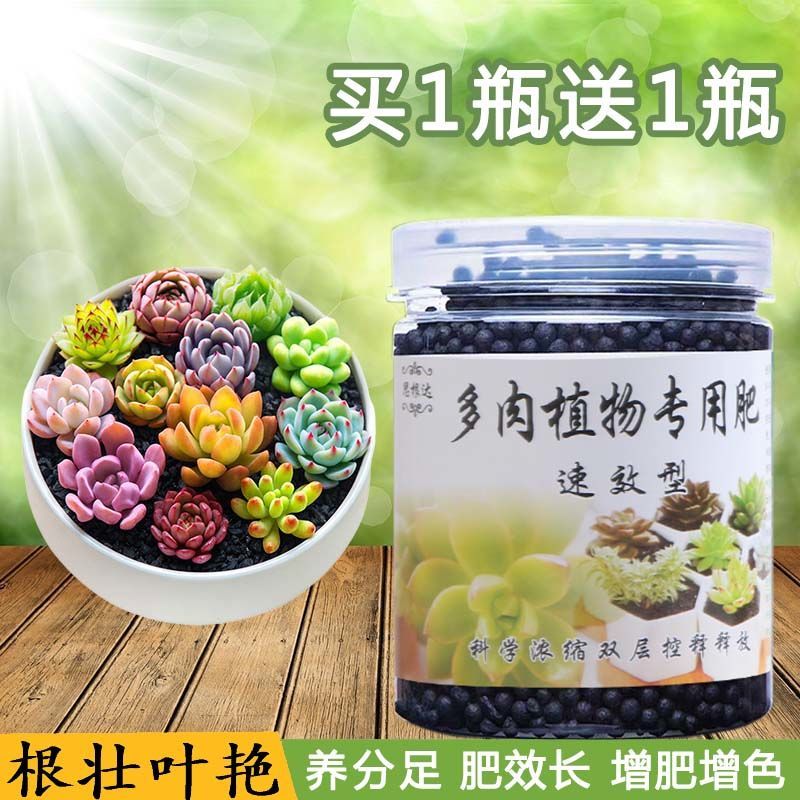 多肉植物专用肥料花卉有机营养液