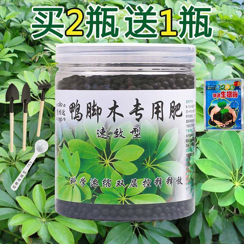 鸭脚专用肥料生根缓释