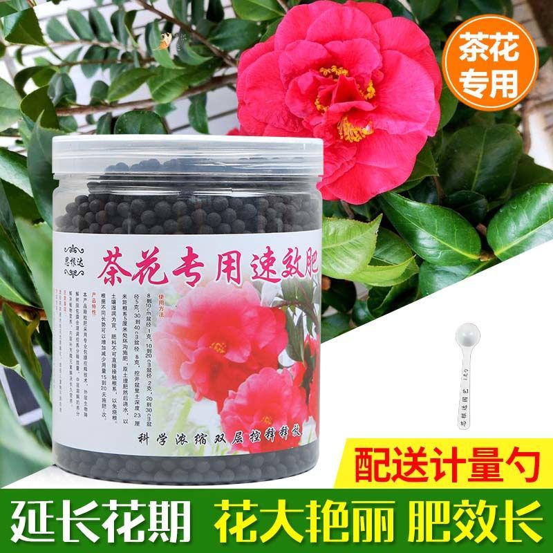 茶花专用肥料四季山茶花苗开花肥料室内盆栽植物催促花有机复合肥