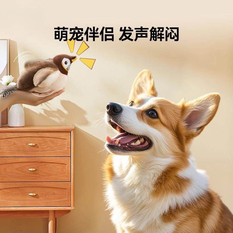 抖抖麻雀电动玩具柯基中小型犬玩具小鸟陪伴玩耍宠物狗玩具店,宠物/宠物食品及用品,猫狗特色玩具,淘宝优惠券,粉丝福利购,淘宝优惠卷