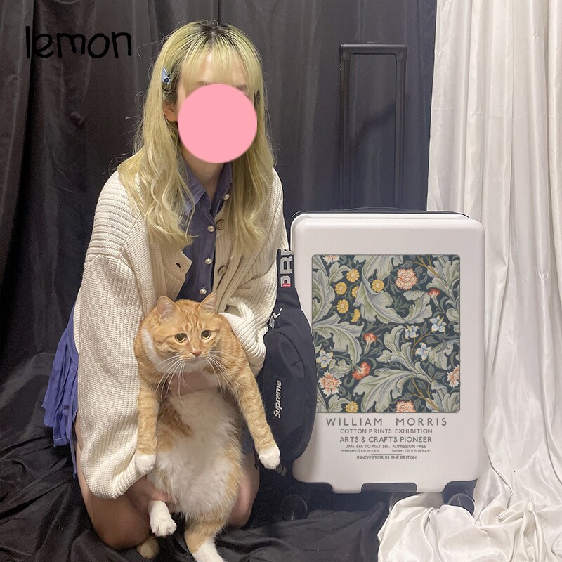 花朵行李箱24寸可爱艺术旅行箱网红静音20登机箱学生26男女拉杆箱