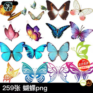 高清彩色蝴蝶PNG透明免扣图片素材唯美图案昆虫手绘插画设计素材