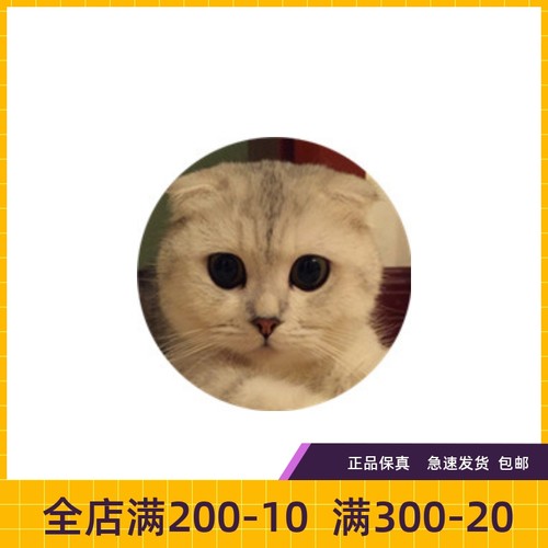 瑶瑶名猫折耳猫银渐层