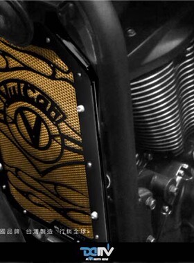 德国 DIMOTIV KAWASAK 川崎 VN900 造型款铝合金散热水箱护网 DMV
