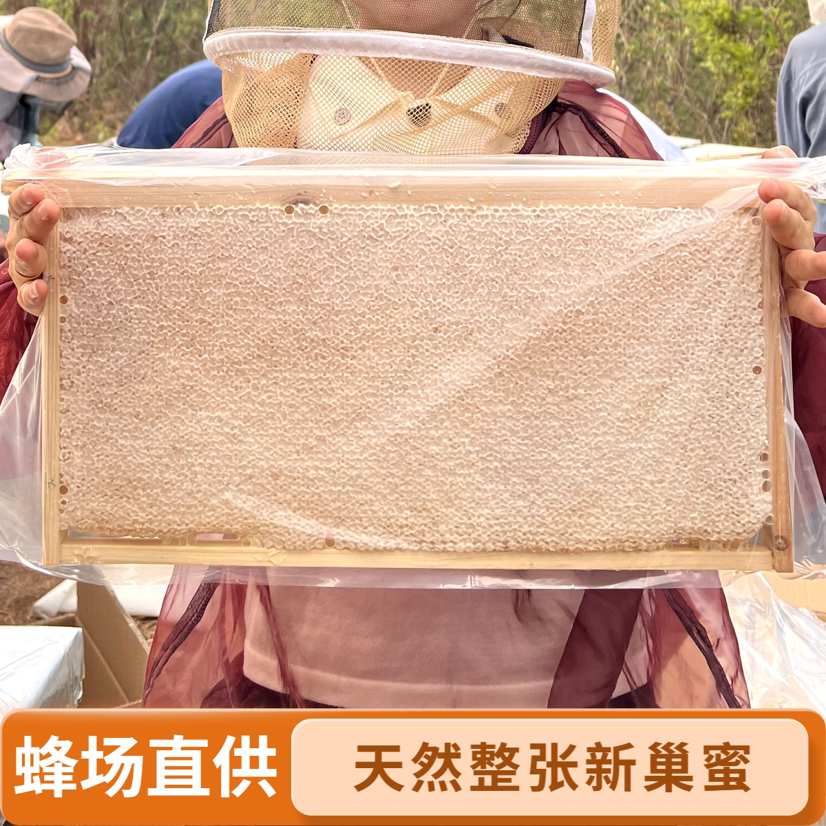 整张蜂巢蜜农家自产嚼着吃土蜂蜜巢块酒店峰巢蜜槽蜂窝大张巢蜜