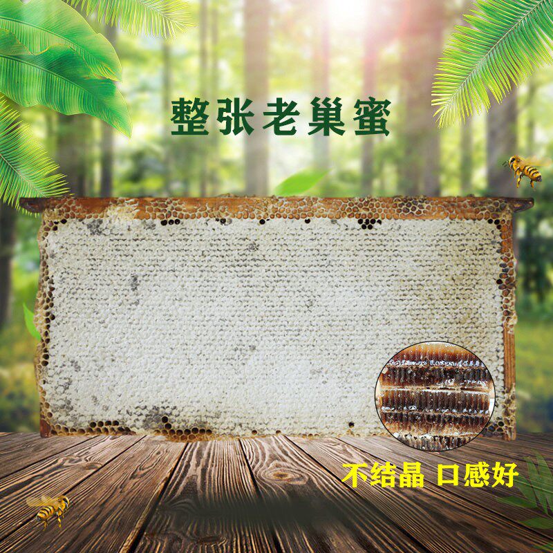 深山整张老巢蜜荆条巢蜜老蜂巢蜜大板子蜜黑蜂巢蜜批发代理