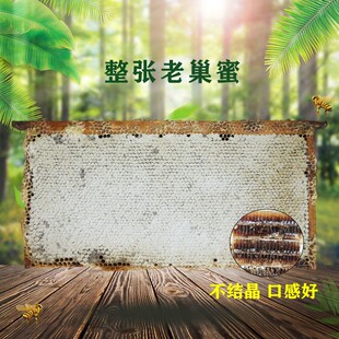 深山整张老巢蜜荆条巢蜜老蜂巢蜜大板子蜜黑蜂巢蜜批发代理