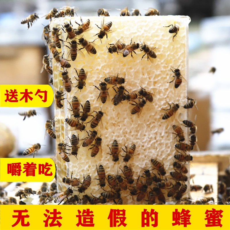 【农家自产】新鲜百花蜂巢蜜500g成熟全封盖荆条蜂巢蜜蜂蜜土特产