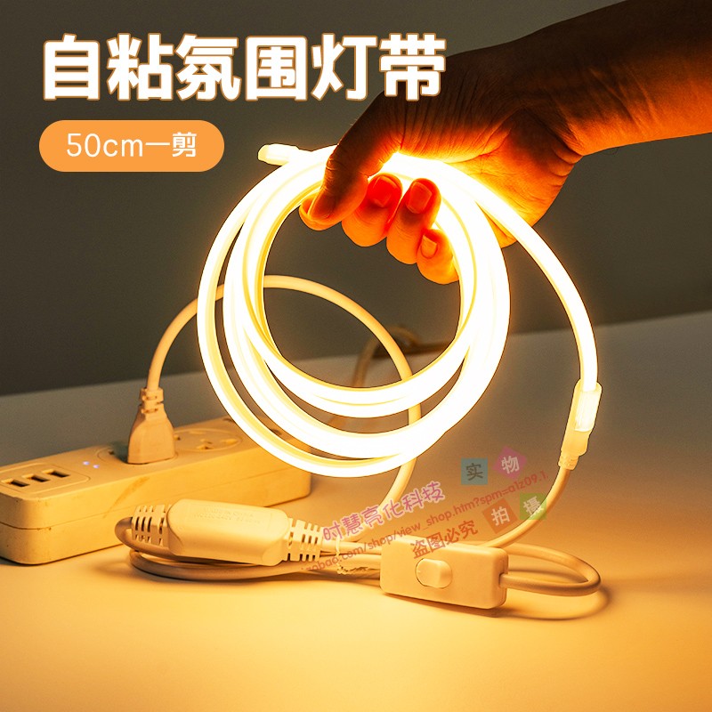 220Vled灯带插电款带开关防水