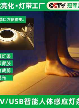 USB智能人体感应灯带LED防水楼道衣厨柜灯玄关小夜灯5v可充电灯条